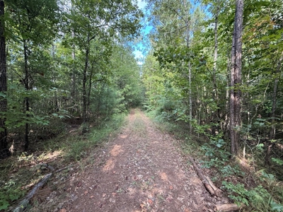Thomaston, Alabama Family Hunting and Homesite Property for Sale - image 11