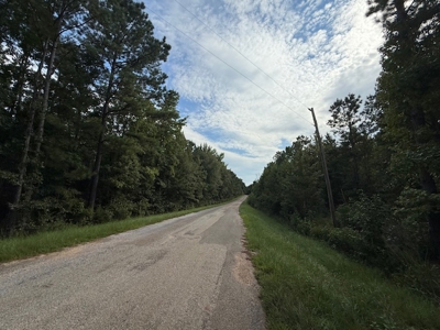 Thomaston, Alabama Family Hunting and Homesite Property for Sale - image 5
