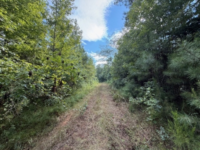 Thomaston, Alabama Family Hunting and Homesite Property for Sale - image 10