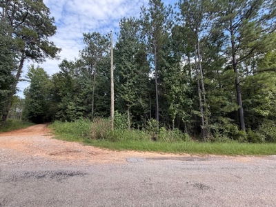 Thomaston, Alabama Family Hunting and Homesite Property for Sale - image 4