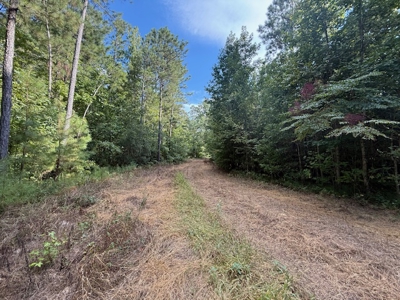 Thomaston, Alabama Family Hunting and Homesite Property for Sale - image 13
