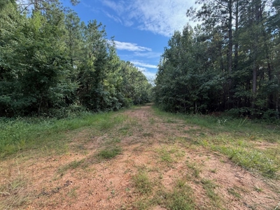 Thomaston, Alabama Family Hunting and Homesite Property for Sale - image 7