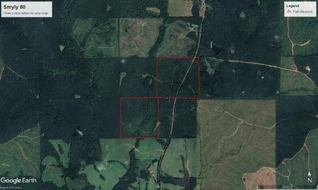 Thomaston, Alabama Family Hunting and Homesite Property for Sale - image 1