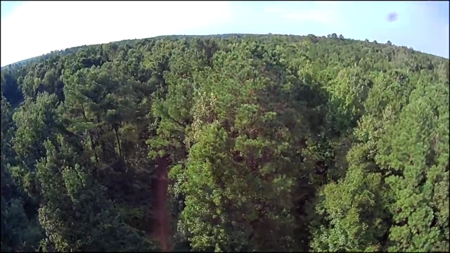 Thomaston, Alabama Family Hunting and Homesite Property for Sale - image 12