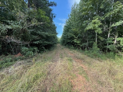 Thomaston, Alabama Family Hunting and Homesite Property for Sale - image 16