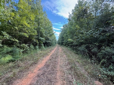 Thomaston, Alabama Family Hunting and Homesite Property for Sale - image 8