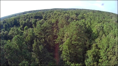 Thomaston, Alabama Family Hunting and Homesite Property for Sale - image 20