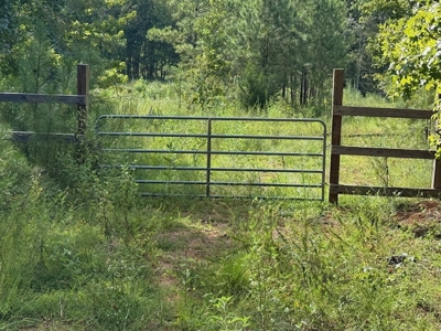Thomaston, Alabama Family Hunting and Homesite Property for Sale - image 15