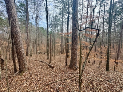 +/- 25.36 Acres Near J.P. Coleman State Park & Pickwick Lake - image 6