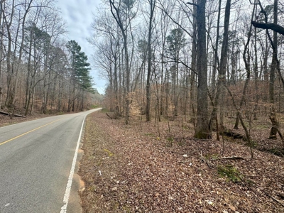 +/- 25.36 Acres Near J.P. Coleman State Park & Pickwick Lake - image 3