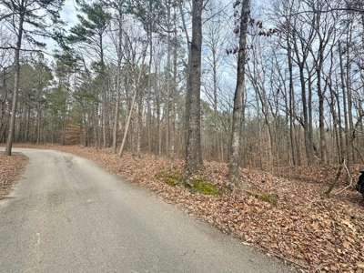 +/- 25.36 Acres Near J.P. Coleman State Park & Pickwick Lake - image 18