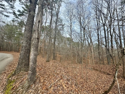 +/- 25.36 Acres Near J.P. Coleman State Park & Pickwick Lake - image 16