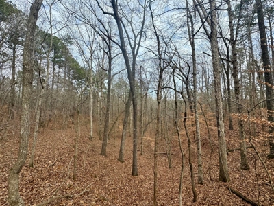 +/- 25.36 Acres Near J.P. Coleman State Park & Pickwick Lake - image 15