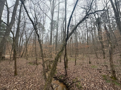 +/- 25.36 Acres Near J.P. Coleman State Park & Pickwick Lake - image 10