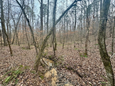 +/- 25.36 Acres Near J.P. Coleman State Park & Pickwick Lake - image 11