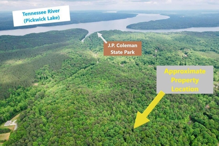 +/- 25.36 Acres Near J.P. Coleman State Park & Pickwick Lake - image 23