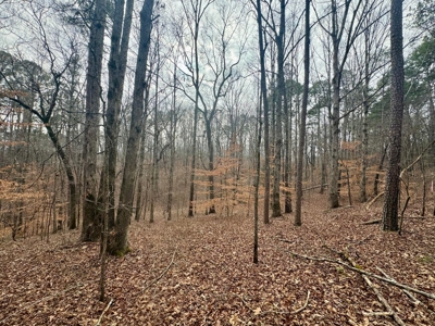 +/- 25.36 Acres Near J.P. Coleman State Park & Pickwick Lake - image 5