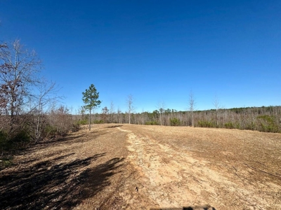 +/- 21 Acres on Peaceful Collier Rd. in Itawamba County - image 9