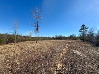 +/- 21 Acres on Peaceful Collier Rd. in Itawamba County - image 7