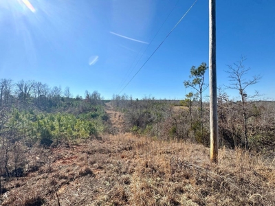 +/- 21 Acres on Peaceful Collier Rd. in Itawamba County - image 16