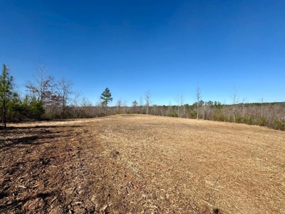 +/- 21 Acres on Peaceful Collier Rd. in Itawamba County - image 6