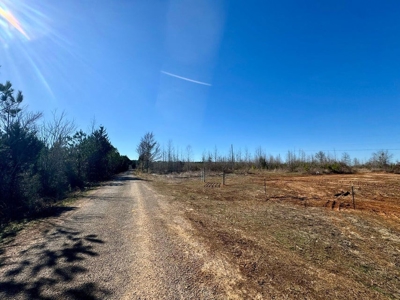 +/- 21 Acres on Peaceful Collier Rd. in Itawamba County - image 4