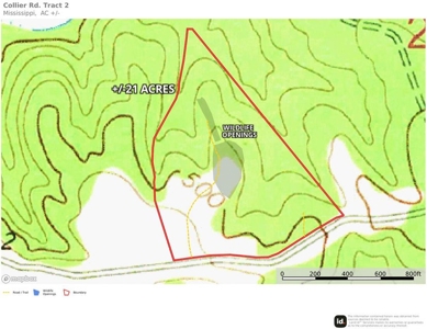 +/- 21 Acres on Peaceful Collier Rd. in Itawamba County - image 20