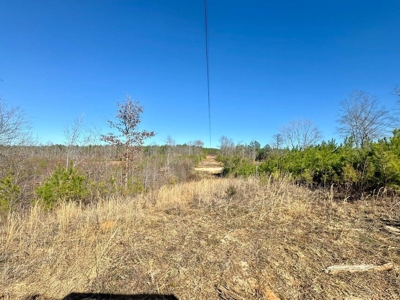 +/- 21 Acres on Peaceful Collier Rd. in Itawamba County - image 17