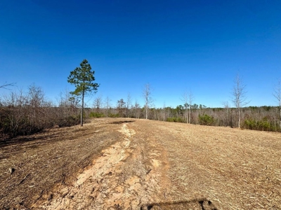 +/- 21 Acres on Peaceful Collier Rd. in Itawamba County - image 8