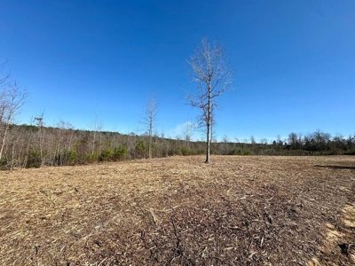 +/- 21 Acres on Peaceful Collier Rd. in Itawamba County - image 11