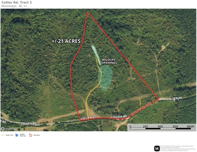 +/- 21 Acres on Peaceful Collier Rd. in Itawamba County - image 1