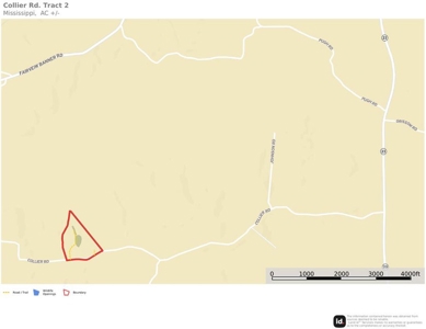 +/- 21 Acres on Peaceful Collier Rd. in Itawamba County - image 19