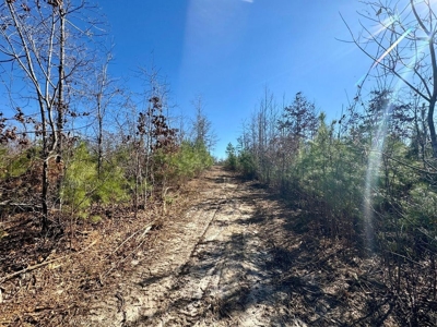+/- 21 Acres on Peaceful Collier Rd. in Itawamba County - image 15