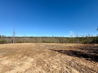 +/- 21 Acres on Peaceful Collier Rd. in Itawamba County - image 10