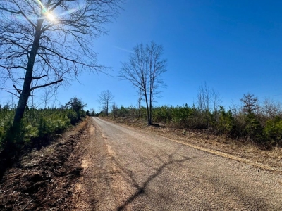 +/- 21 Acres on Peaceful Collier Rd. in Itawamba County - image 3
