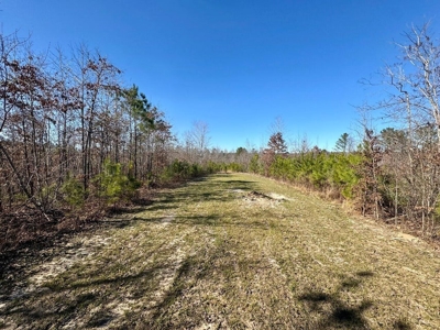 +/- 21 Acres on Peaceful Collier Rd. in Itawamba County - image 13