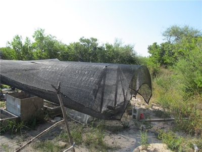 Hard to find Acreage around Lake Corpus Christi - image 14