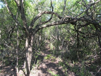 Hard to find Acreage around Lake Corpus Christi - image 30
