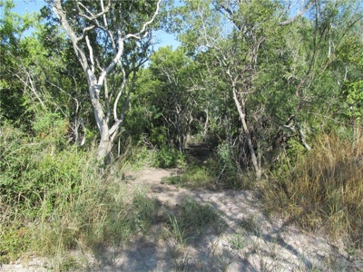 Hard to find Acreage around Lake Corpus Christi - image 29