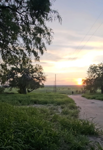 Hard to find Acreage around Lake Corpus Christi - image 40