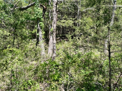 Build Your Multi Family Investment Dream in Holiday Island AR - image 10