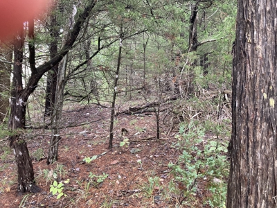 Build Your Multi Family Investment Dream in Holiday Island AR - image 6