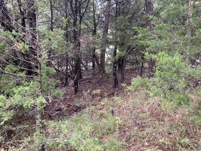 Build Your Multi Family Investment Dream in Holiday Island AR - image 4