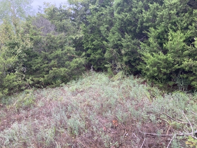 Build Your Multi Family Investment Dream in Holiday Island AR - image 3