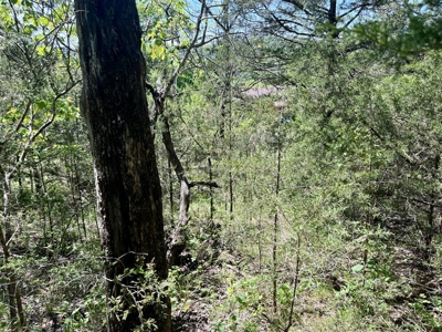 Build Your Multi Family Investment Dream in Holiday Island AR - image 12