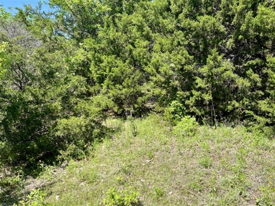 Build Your Multi Family Investment Dream in Holiday Island AR - image 8