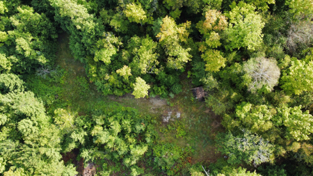 20 Acres with Katahdin Views – Springfield, Maine - image 7