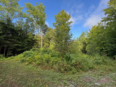20 Acres with Katahdin Views – Springfield, Maine - image 14