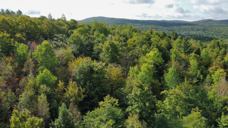20 Acres with Katahdin Views – Springfield, Maine - image 4