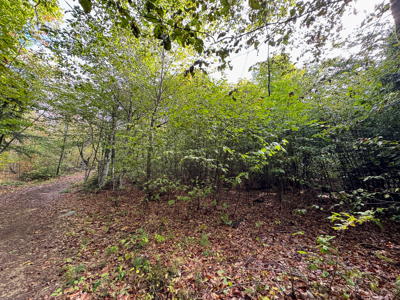 20 Acres with Katahdin Views – Springfield, Maine - image 17